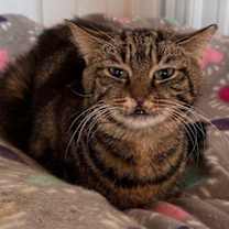 Thumbnail photo of Maxine #4