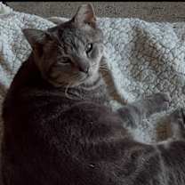 Thumbnail photo of Swirly #2