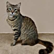 Thumbnail photo of Blossom #4