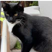 Thumbnail photo of Tilly #4