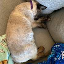 Thumbnail photo of Mikko #2