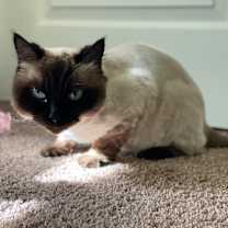 Thumbnail photo of Mikko #3