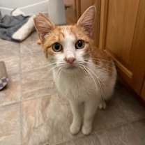 Thumbnail photo of Juice Box #3