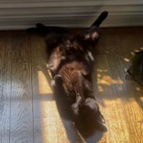 Thumbnail photo of Belene #4