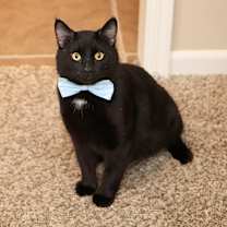 Thumbnail photo of Spud  #1