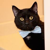 Thumbnail photo of Spud  #3