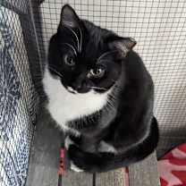 Thumbnail photo of Rosebud #2