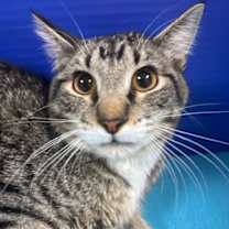 Thumbnail photo of Pacific Ocean #1