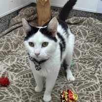 Thumbnail photo of Faith #3