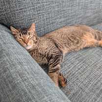 Thumbnail photo of Bruce #4