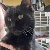 Thumbnail photo of Evander #4