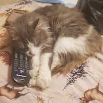 Thumbnail photo of Nico #3