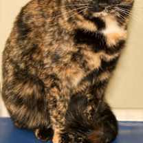 Thumbnail photo of Debra #3