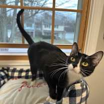 Thumbnail photo of Lucy #3