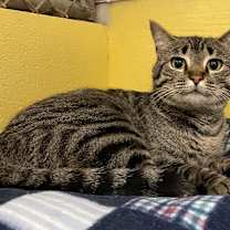 Thumbnail photo of Betty Davis #1