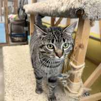 Thumbnail photo of Betty Davis #2