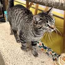 Thumbnail photo of Betty Davis #3