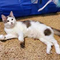 Thumbnail photo of Jesse #1