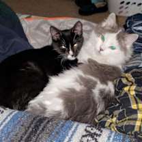 Thumbnail photo of Jesse #4