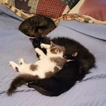 Thumbnail photo of Billie #4