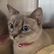 Thumbnail photo of Sterling #2