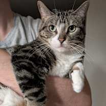 Thumbnail photo of Rosalina (bonded to Daisy) #1