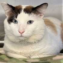 Thumbnail photo of Theodore #2