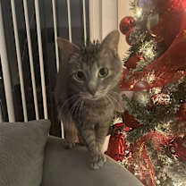 Thumbnail photo of Smokey #3