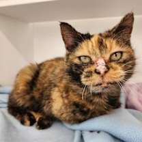 Thumbnail photo of Wednesday #1