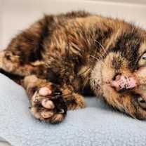 Thumbnail photo of Wednesday #2