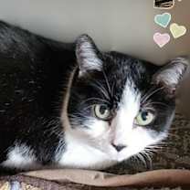 Thumbnail photo of Lily #2