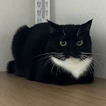 Thumbnail photo of Gigi #3