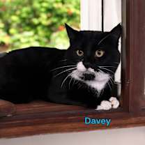 Thumbnail photo of Davey #2