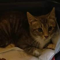 Thumbnail photo of Case #2