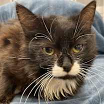 Thumbnail photo of Blair #3