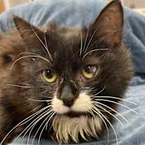 Thumbnail photo of Blair #1