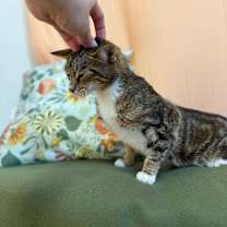 Thumbnail photo of Delilah Lull #2