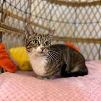 Thumbnail photo of Delilah Lull #4