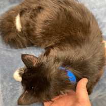 Thumbnail photo of Blake #2