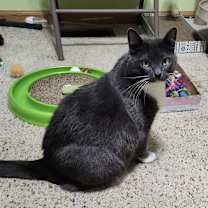 Thumbnail photo of Nessy #2