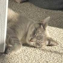 Thumbnail photo of Eira #2