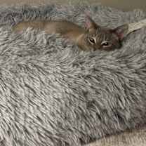 Thumbnail photo of Eira #3