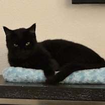 Thumbnail photo of Yeva #2