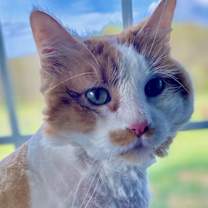 Thumbnail photo of Moocher #2