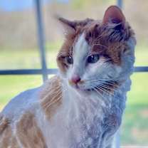 Thumbnail photo of Moocher #3