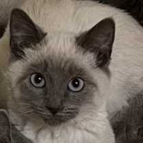 Thumbnail photo of Prince #1