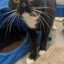 Thumbnail photo of Clyde #1