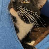 Thumbnail photo of Clyde #3