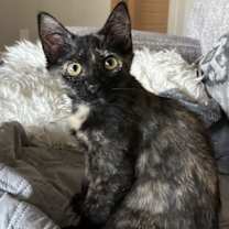 Thumbnail photo of Heidi #1