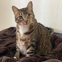Thumbnail photo of Grace #2